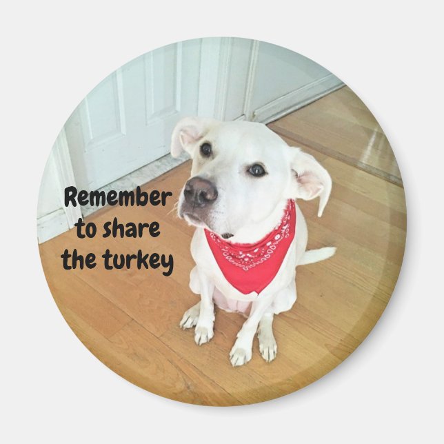 Photo of Cute Pup Dog With Funny Ears Sticking Out Magnet (Front)