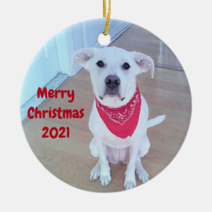 Photo of Cute Pup Dog With Funny Sticking Out Ears Ceramic Tree Decoration