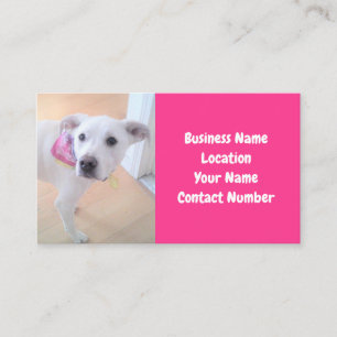 Photo of Cute Sweet White Puppy Dog Face Pink Business Card