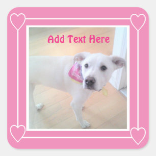 Photo of Cute Sweet White Puppy Dog Face Pink Square Sticker