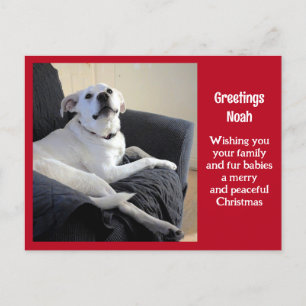Photo of Cute Talking Dog Red Christmas Postcard