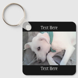 Photo of Cute Tired Dog Wearing Green Scarf Black Key Ring