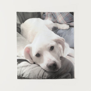 Photo of Cute Tired Puppy dog With Dad on Couch Tapestry