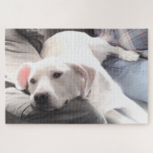 Photo of Cute Tired White Dog Hanging Out with Dad Jigsaw Puzzle
