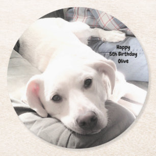 Photo of Cute Tired White Dog on Couch with Dad Round Paper Coaster