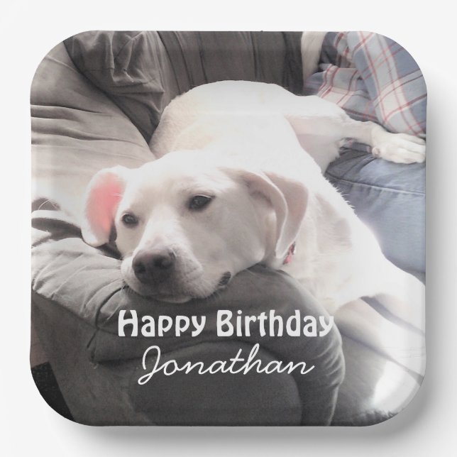 Photo of Cute Tired White Dog With Best Friend Dad Paper Plate (Front)