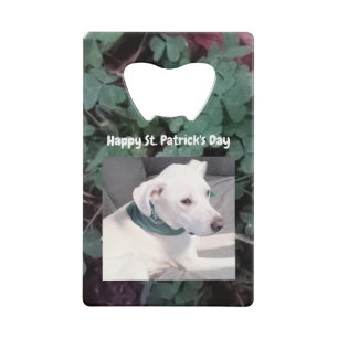 Photo of Cute White Dog Green Shamrock Clovers