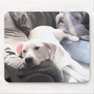 Photo of Cute White Dog Hanging Out with Dad Mouse Mat