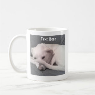 Photo of Cute White Dog hiding Behind Tail Grey Coffee Mug