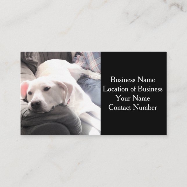 Photo of Cute White Dog on Couch Black Business Card (Front)