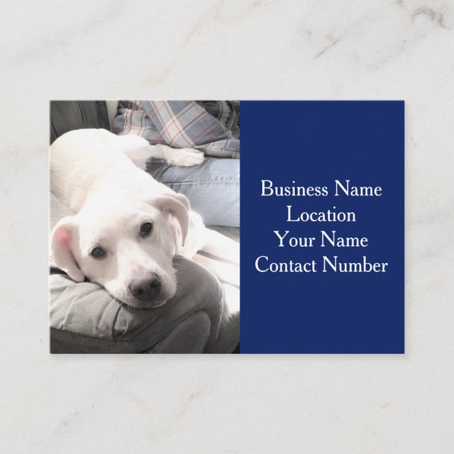 Photo of Cute White Dog on the Couch Navy Blue Business Card (Front)