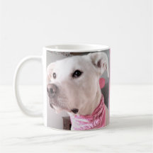 Photo of Cute White Dog Personalise With Name Pink