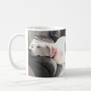 Photo of Cute White Dog Sleeping on the Couch Coffee Mug