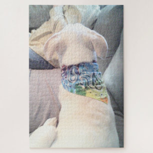 Photo of Cute White Dog Wearing Colourful Scarf Jigsaw Puzzle