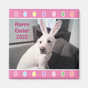 Photo of Cute White Dog Wearing Easter Bunny Ears Magnet