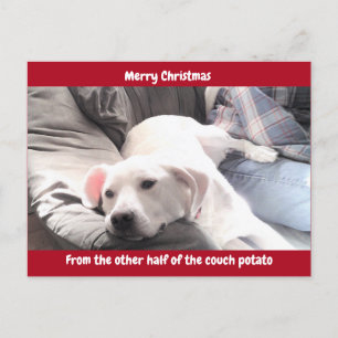 Photo of Cute White Dog with Dad Red Holiday Postcard