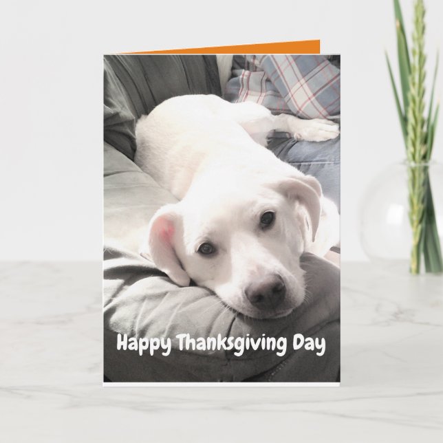 Photo of Cute White Dog With Dad Thanksgiving Card (Front)