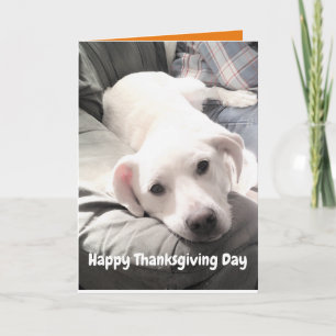 Photo of Cute White Dog With Dad Thanksgiving Card