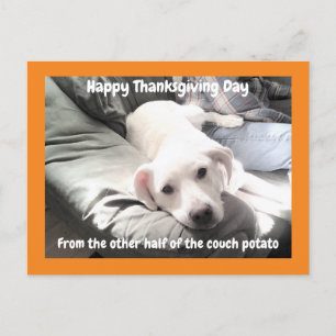 Photo of Cute White Dog With Dad Thanksgiving Postcard