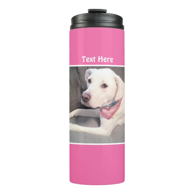 Photo of Cute White Labrador Mix Dog Pink Thermal  Thermal Tumbler (Front)