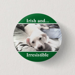 Photo of Cute White Labrador Mix St. Patrick's Day 3 Cm Round Badge