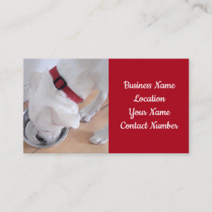 Photo of Cute White Puppy Dog Drinking Water Red Business Card