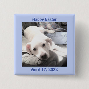 Photo of Cute White Puppy Dog Easter Gift Blue 15 Cm Square Badge