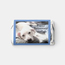 Photo of Cute White Puppy Dog Resting With Dad