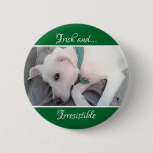 Photo of Cute White Puppy Dog St. Patrick's Day 6 Cm Round Badge