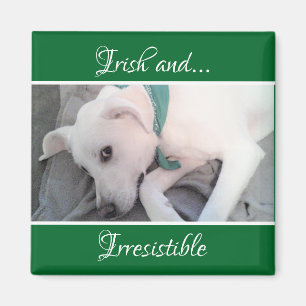 Photo of Cute White Puppy Dog St. Patrick's Day Magnet