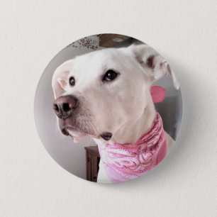 Photo of Cute White Puppy Dog Wearing Pink Scarf 6 Cm Round Badge