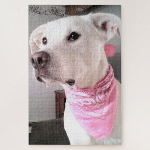 Photo of Cute White Puppy Dog Wearing Pink Scarf Jigsaw Puzzle