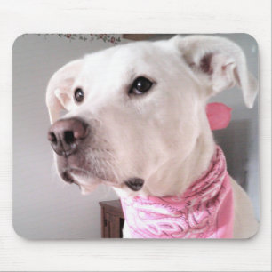 Photo of Cute White Puppy Dog Wearing Pink Scarf Mouse Mat