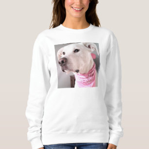 Photo of Cute White Puppy Dog Wearing Pink Scarf Sweatshirt