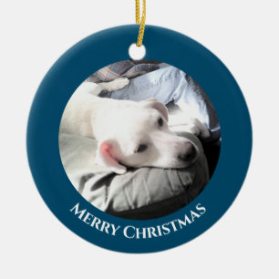 Photo of Cute White Puppy Dog With Dad Blue Cerami Ceramic Tree Decoration