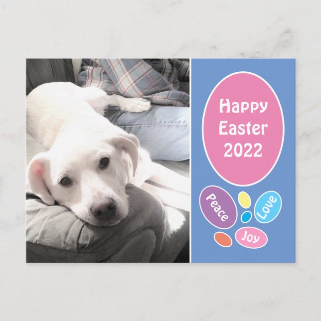 Photo of Cute White Puppy Dog With Dad Easter Eggs Holiday Postcard (Front)
