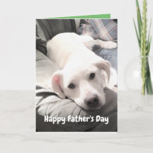 Photo of Cute White Puppy Dog With Dad Funny