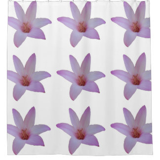 Photo of delicate pink rain lilies on a shower curtain