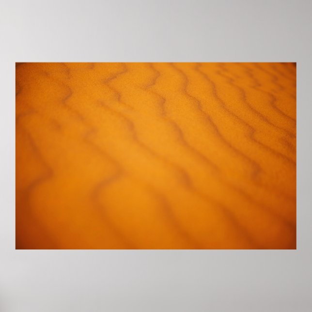 Photo of desert poster (Front)