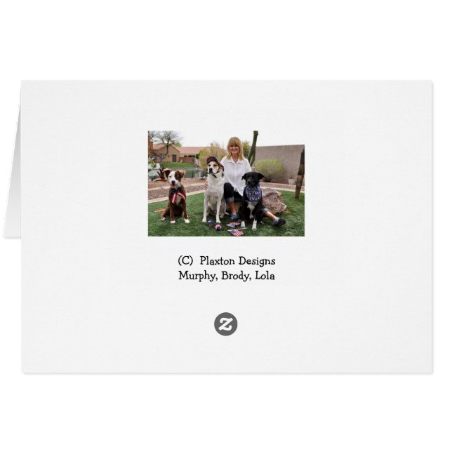 Photo of dog in tub, shower cap, earrings (Back Horizontal)