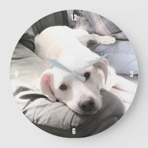 Photo of Dog Sitting Next to Best Friend Blue Large Clock