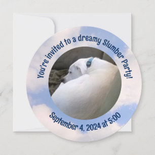Photo of Dog Sleeping Slumber Party Invitation