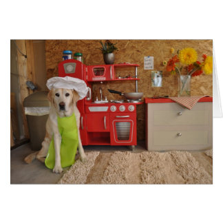 Photo of dog with chef's hat on