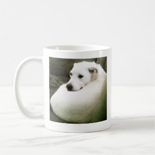 Photo of Elegant White Dog Curled Up on Couch Coffee Mug