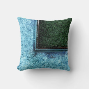 Photo of green grasses near tiles cushion