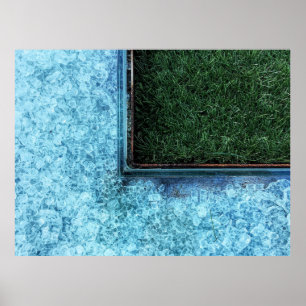 Photo of green grasses near tiles poster