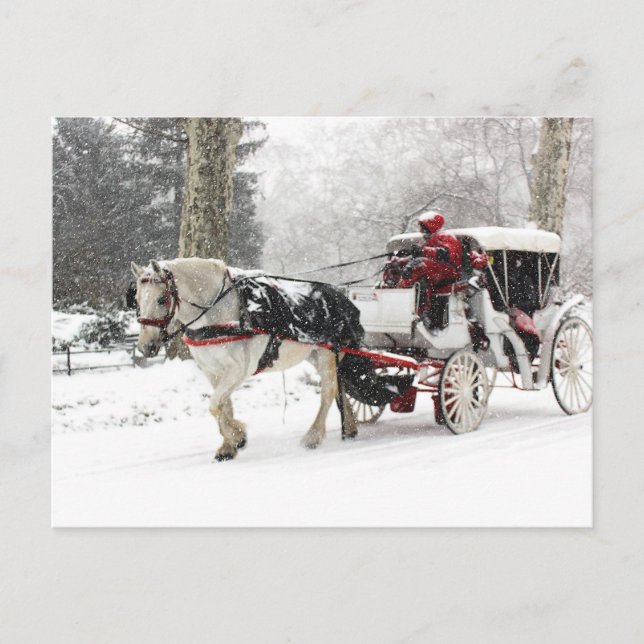 Photo of Horse and Buggy in Central Park Winter Postcard (Front)