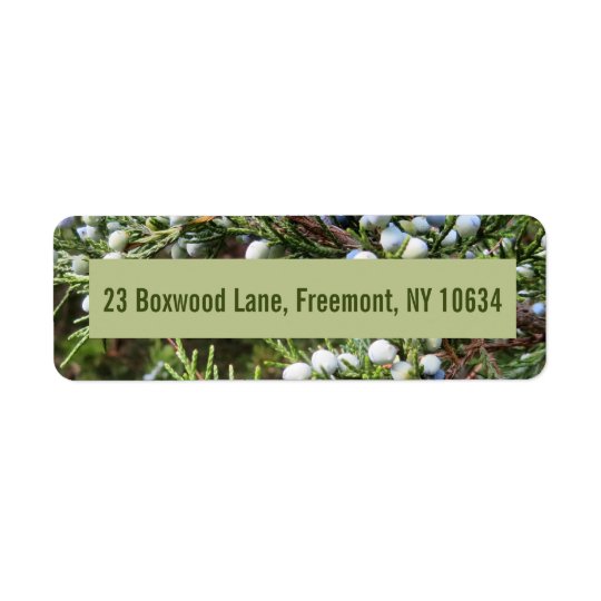 Photo of juniper bush with return address return address label