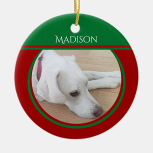 Photo of Peaceful White Dog Wearing Red Collar Ceramic Tree Decoration