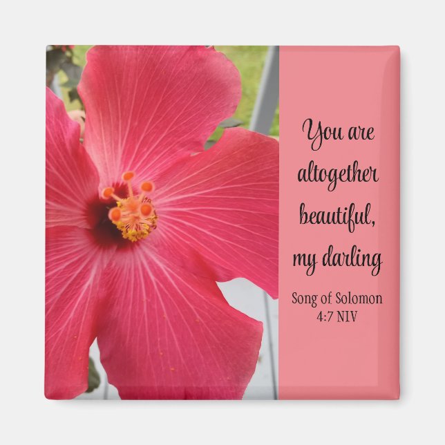 Photo of Pink Flower Song of Solomon Bible Verse Magnet (Front)